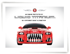 In decal nhưạ - in rẻ đẹp 5 in decal nhua 2